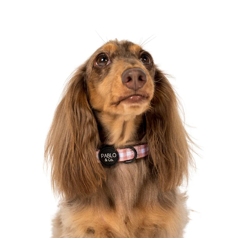 - Summer pet ice matChocolate Gingham: Collar